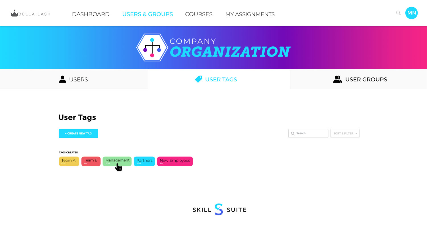 SkillSuite - Organization - Tags