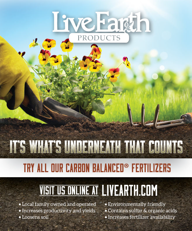 Live Earth Ad