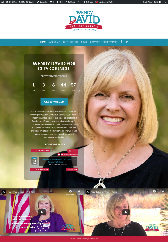 Wendy David for City Council – Website